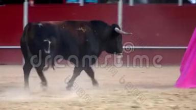 西班牙斗<strong>牛图片</strong>。 黑牛
